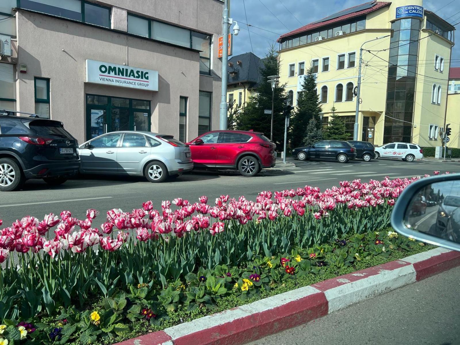 Central-Home Targu Jiu Bagian luar foto