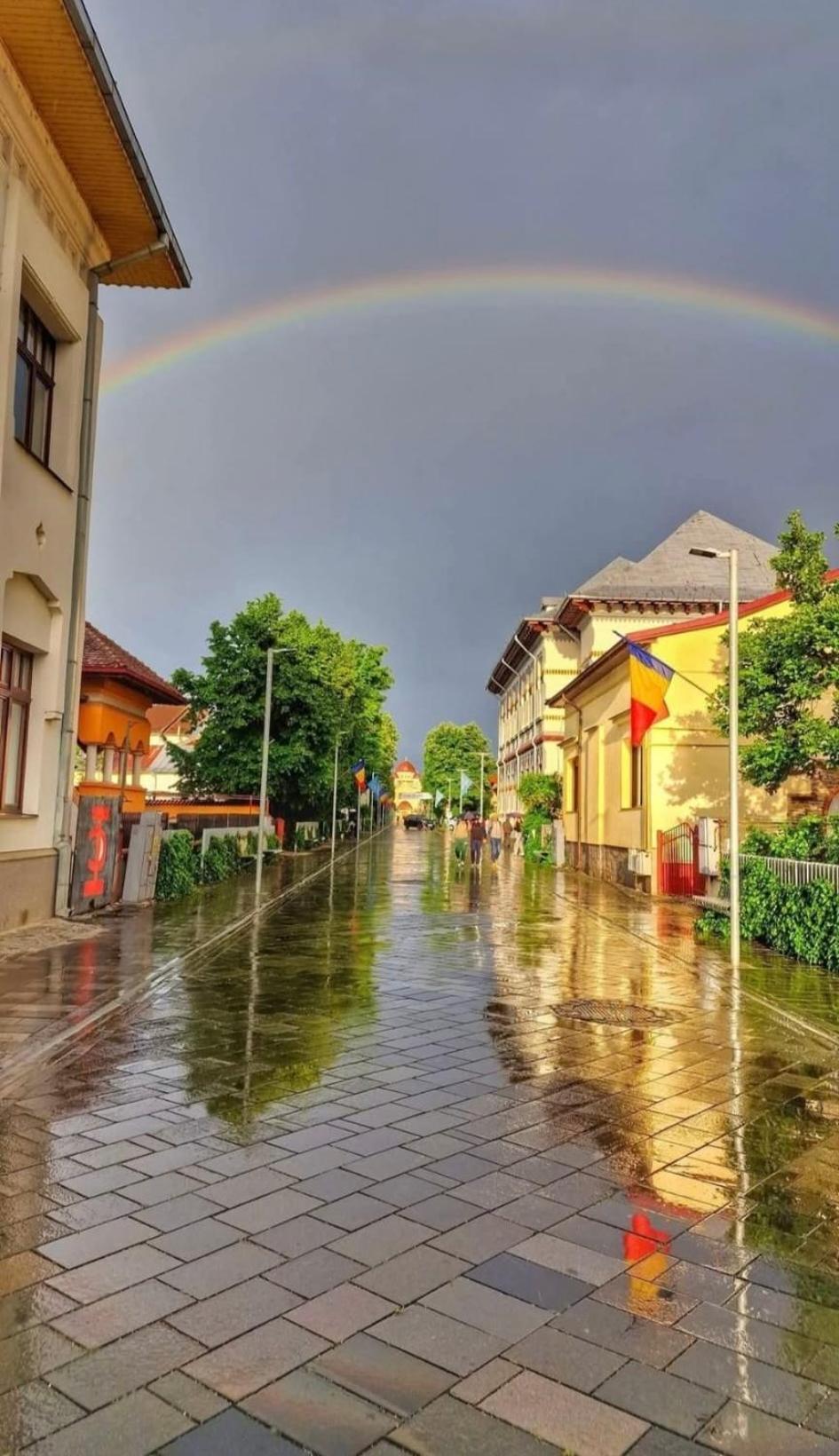 Central-Home Targu Jiu Bagian luar foto